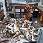 Havglimt Hébergement de vacances *