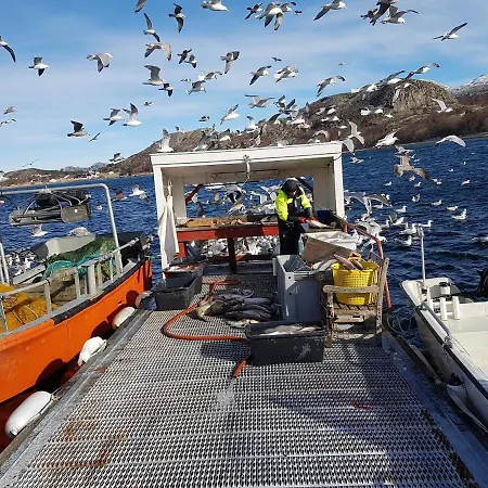 Havglimt بيت للعطل